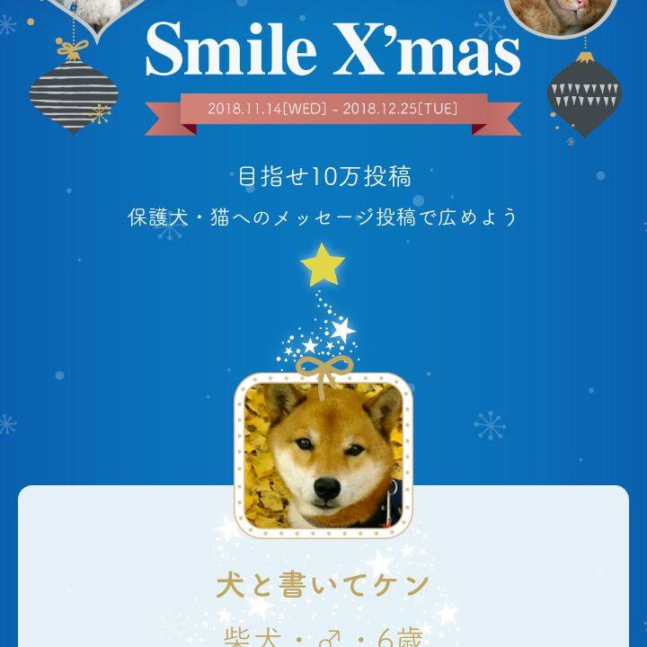 C92844cc c3eb 4718 b7c1 e0060ae3c929 1544688349312