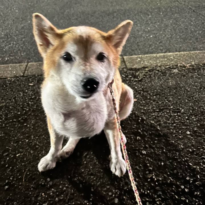 C9285cb3 9856 45b0 8cd4 2da2ae00b6e0 1758274549626