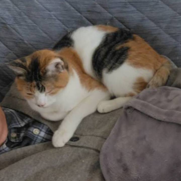 C928ac2c 4f71 46a6 9e12 44aa17421168 1696647267111