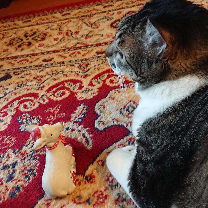 C928bb91 6544 4b93 b071 964284049d2b 1577140233058