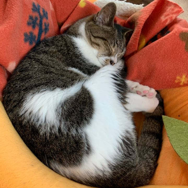 C928e5ed 3c31 43a1 b4ce e5332be6a998 1599441205967