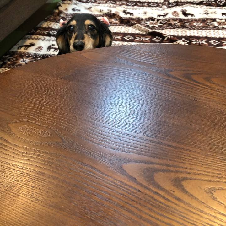 C9292220 cfca 4fdd a515 a87e361c5caf 1583624542150