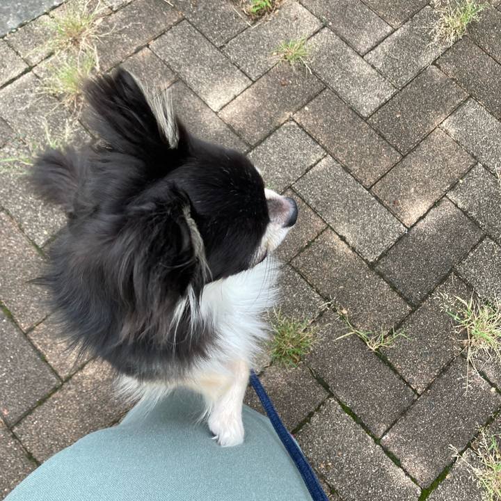 C92925c2 2d23 4c56 bbc4 617e25ea038d 1662867252385