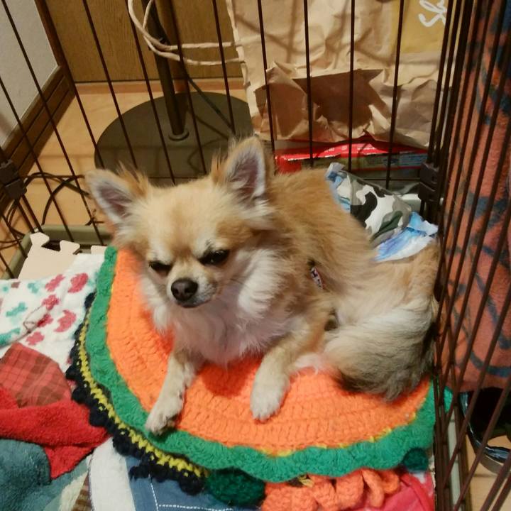 C9294766 1d62 4cd5 b4c6 d6c47b2aab4c 1522994857716