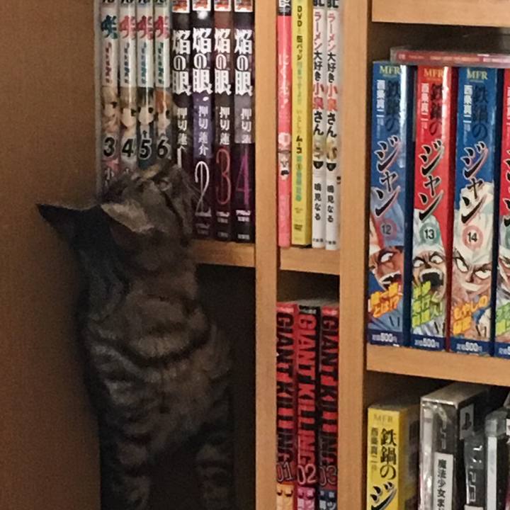 C9295b60 bb62 4c1b 9fac a54d01db1028 1541541941743