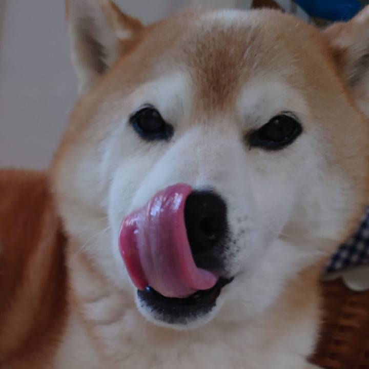 C9299182 3939 42c1 a75b ef0d39fc40ae 1704705928213