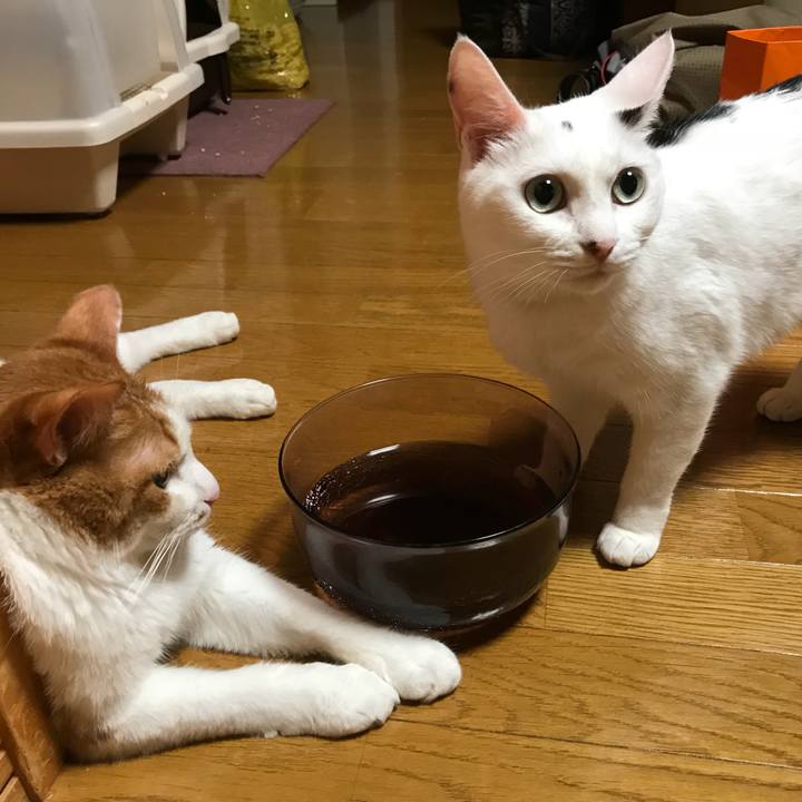 C929926b 7362 4a84 95f5 73803df3a198 1533041917664