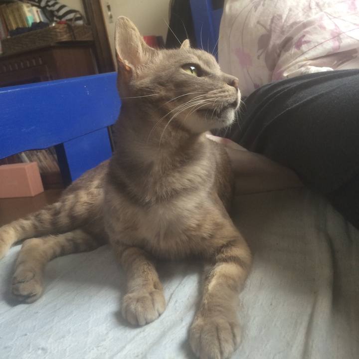 C92993b4 5280 46ae b8d3 8a18a61a9ddd 1561821414826