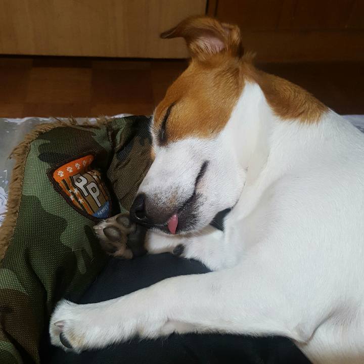 C929960a 1e6f 4742 b98c a1de153112bb 1563115114087