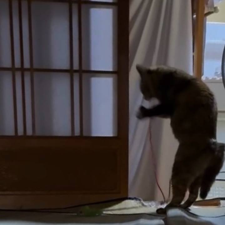 C9299ec6 fd72 4ea7 9386 b2e2fd99b5e5 1768073895310