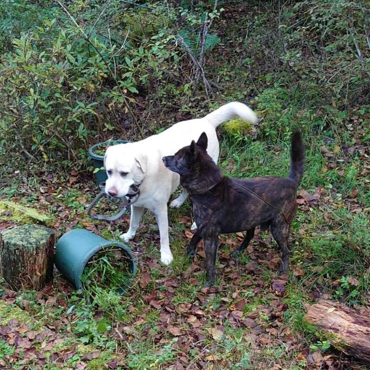 C929ada2 91e5 4212 abfd fa93c50bf641 1728795272706