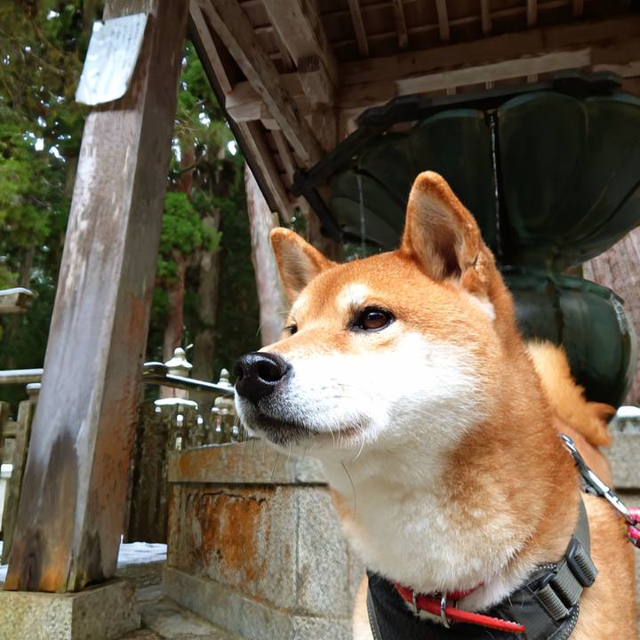 C929f4f5 7a8a 4a5a b3ce 45336c243848 1767076863424