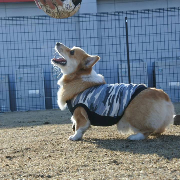 C92a1a66 0d23 46c3 b877 38ed75b8b7a6 1521977055478