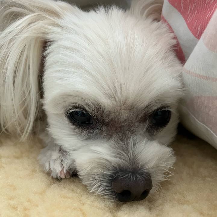 C92a24e8 4b92 4865 b603 72c8516a9271 1697177709153