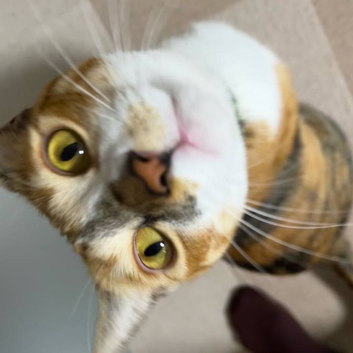 C92a34fd 7a72 4dfe bc58 ec3f732ae5b6 1697363608508