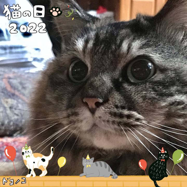 C92a49ae 5ce3 4535 a436 bef40b727f09 1645502747704