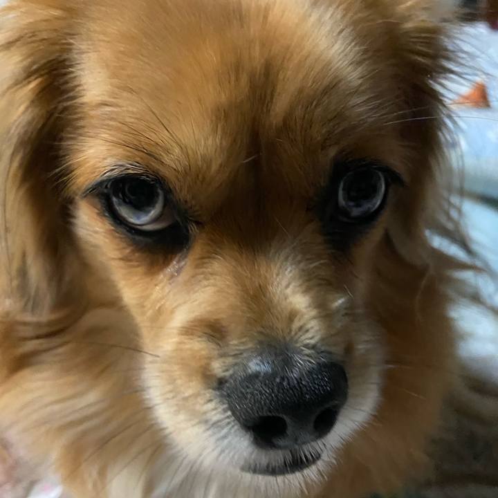 C92a6cc2 3dae 4338 9e5f 66d76fd88078 1606512296634