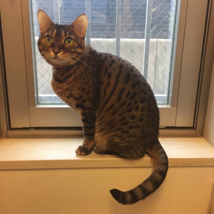 C92a7b88 ef39 4e33 a2d3 90cd0c1dd9a1 1544570285612