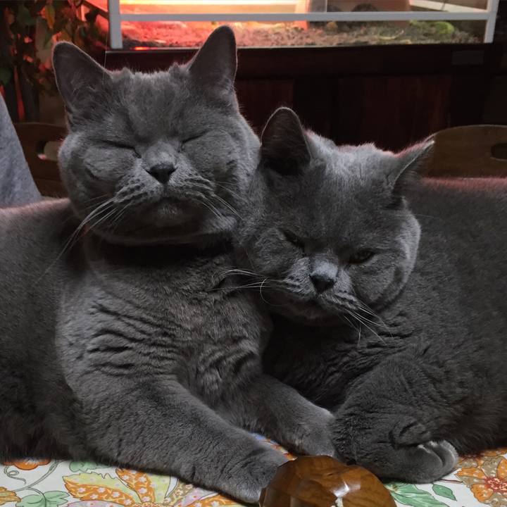 C92a88e2 a9b9 4c06 8f96 c5dbdd369732 1773479379989