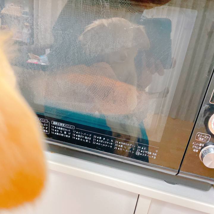 C92a8e92 5b45 46de bccb 65c0af1e26d8 1647156319664