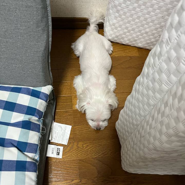 C92a98f6 cfd0 4fca 9d22 b52c424ab2b2 1696468750193