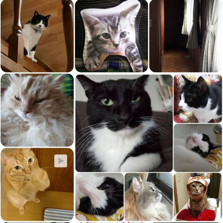 C92ab75a 929c 44fb ad3b d2b6ab4e8317 1556660945453