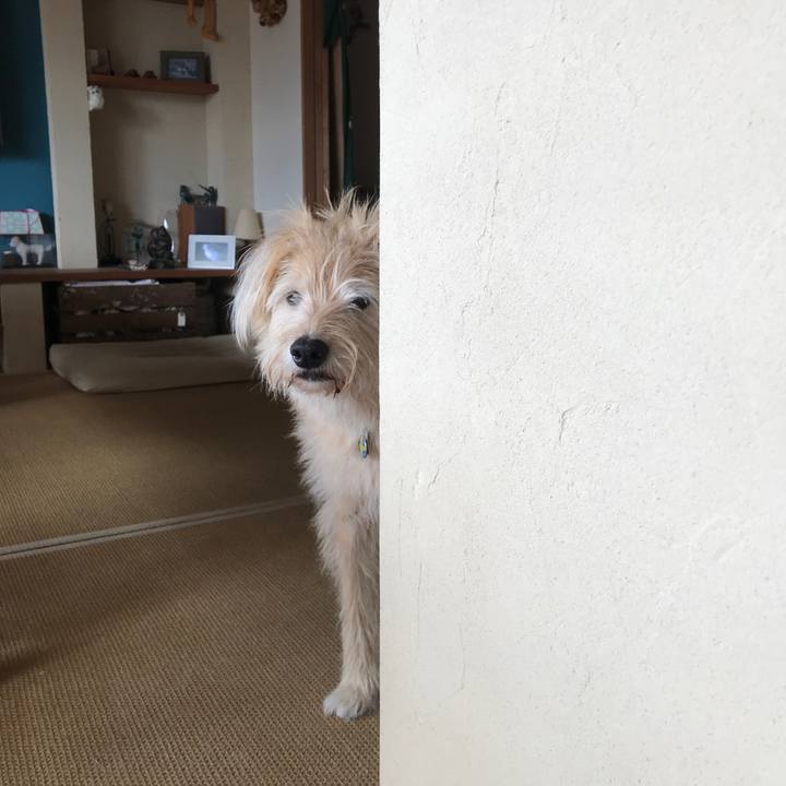 C92aeb6e a79d 4784 932f 9079b4def31b 1539906405385