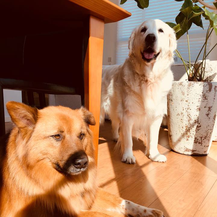 C92aeb88 938d 4eb1 85ca f0dd63889ba4 1521286506049