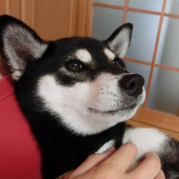 C92afd25 6911 43b9 bfd0 088581e38440 1513203652678