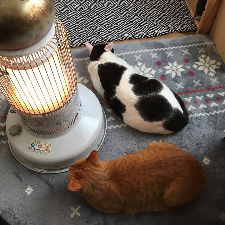 C92b2c23 d469 48d3 bbe1 4299b4afbcf8 1548375106994