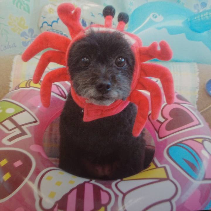 C92b4523 05eb 4d6b ba70 03f5c770f31d 1564896156718