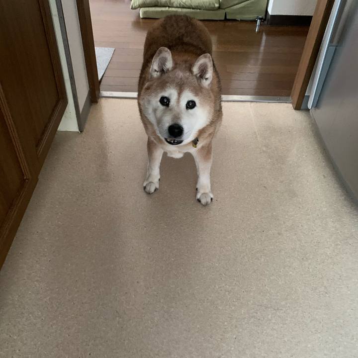 C92b45e8 2b56 4b50 8745 622396d2c5b4 1662866362955