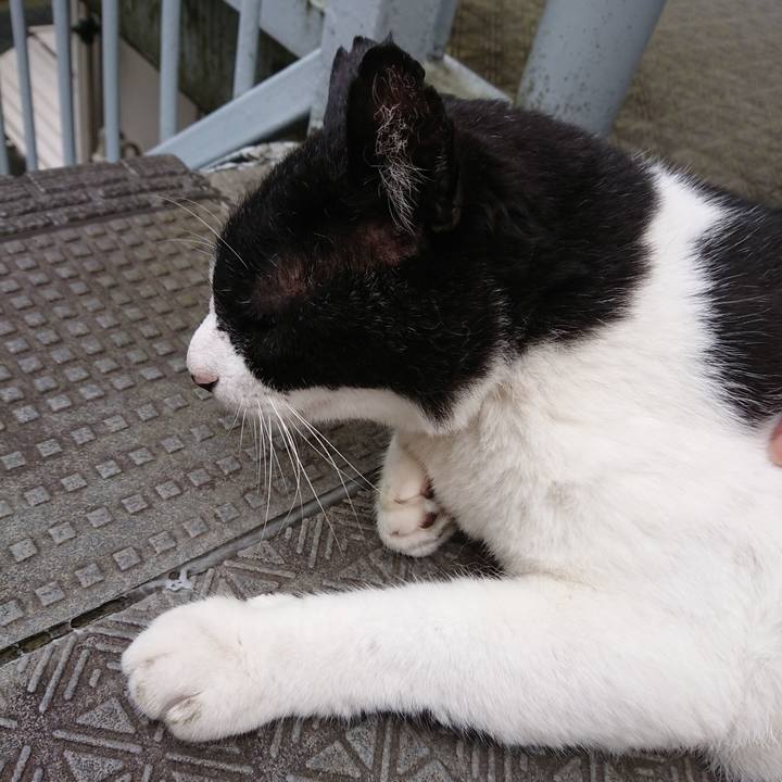 C92b7431 6ca1 4b33 be90 898b97dda3b8 1593331591746