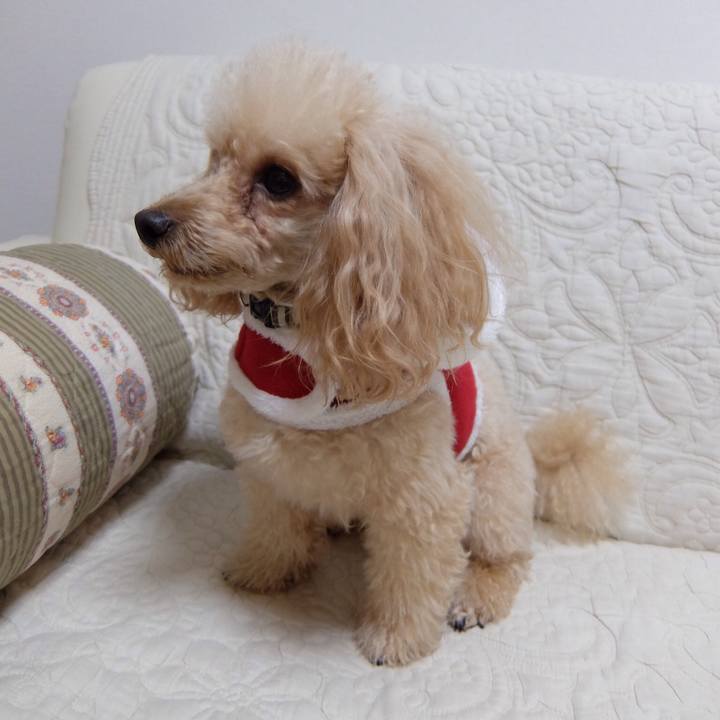 C92ba1c8 dd5f 4ffc 827b 4811de6aa496 1511076909803