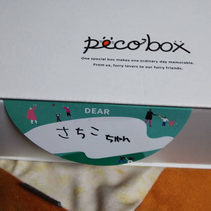 C92bcfe7 81d2 4e89 89a8 e4424f24fef6 1558782099473