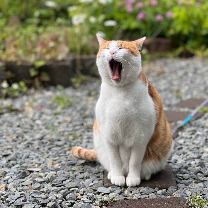 C92c4ba1 d82f 4517 8824 6d8bfd1c1a25 1654426949370