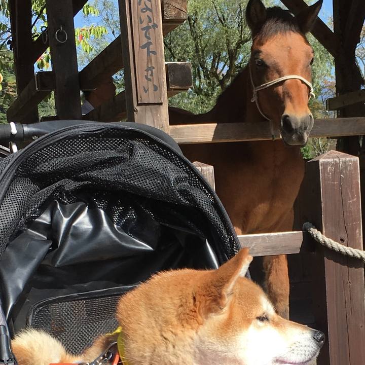 C92c4e9f ea1f 4aba ad56 c3b151a1d402 1570244280552