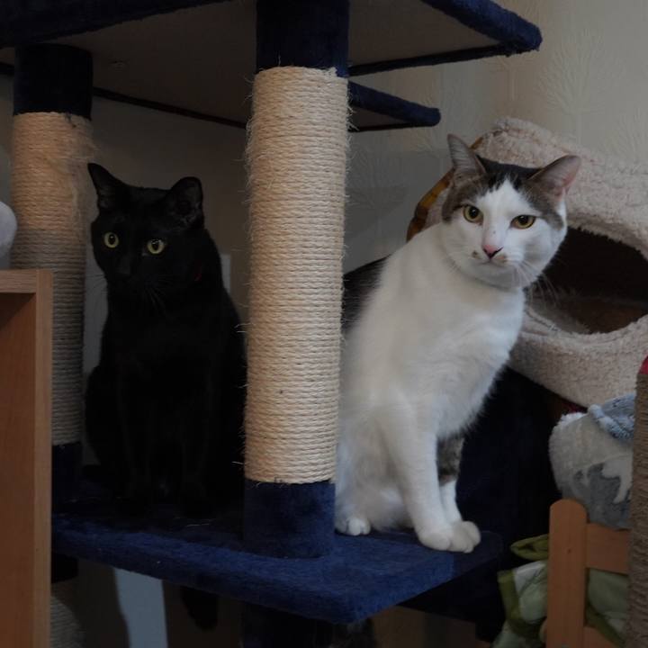 C92c5a3f 05ed 4603 9290 747499c88c1a 1610804551875