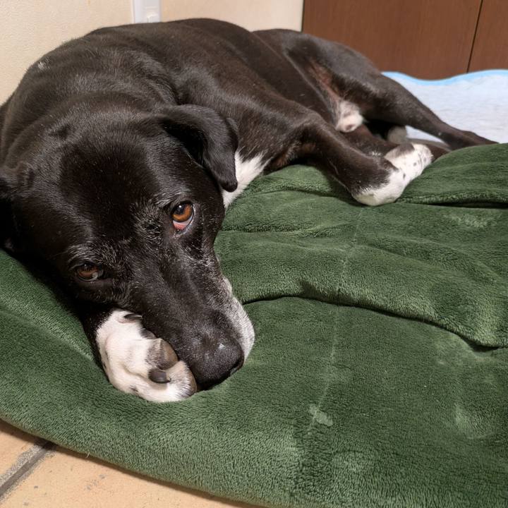 C92c78bb 3e40 47c9 810a 56a674a74f93 1752836907783