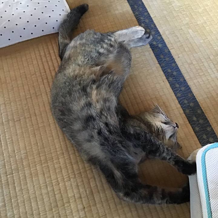 C92c9a84 ffd2 43ee b755 5461947a9d92 1631181499104