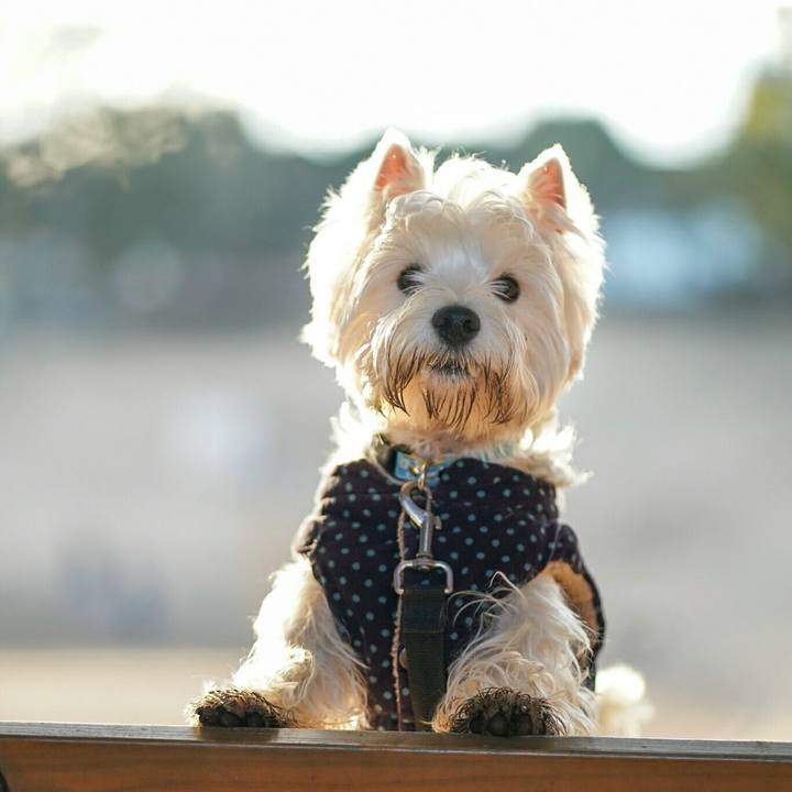 C92ca920 695a 4d87 8e47 abe3e4779b12 1518152350292