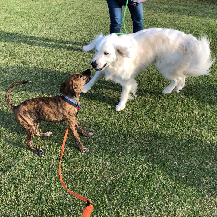 C92cae9d 098c 4552 a26c 0c012b39b820 1571655480019