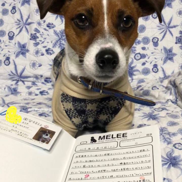 C92cc7ed 493f 4f6f 9327 61031c4d1320 1544872176232