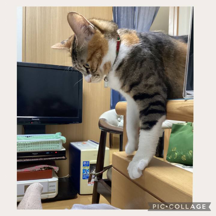 C92cf7e2 6ae5 4cc8 bfa7 7cabe700d6b9 1665787775095