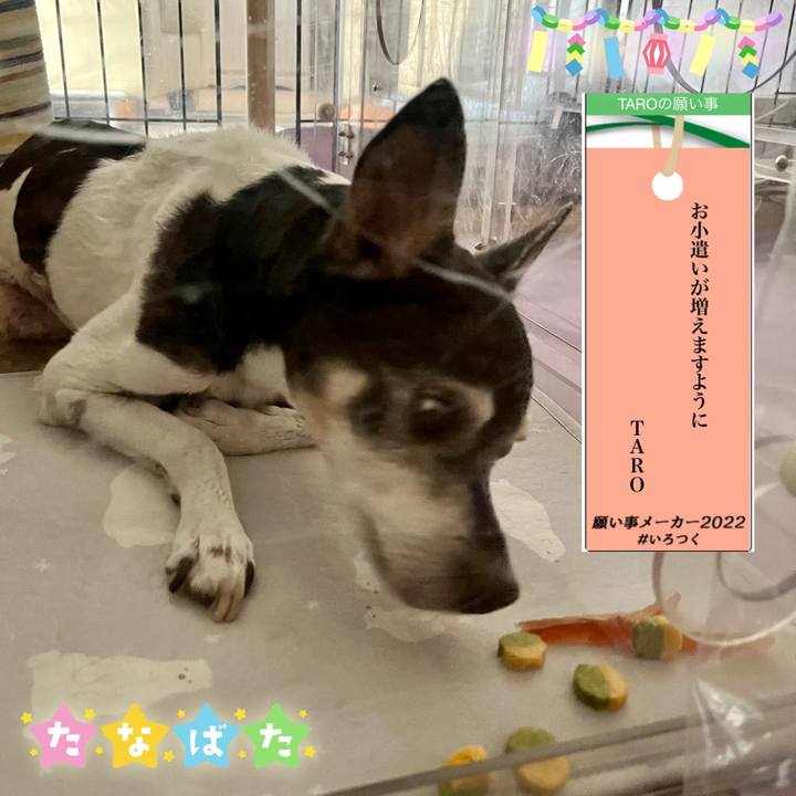 C92d3640 5929 4294 bd69 223ec67170c2 1657189813246