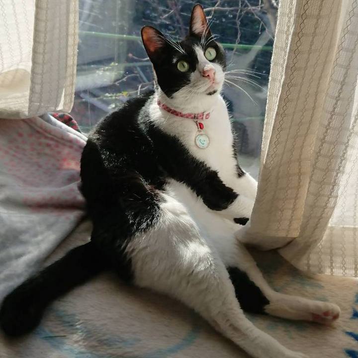 C92d55ca b455 4884 9d30 f7689216ac70 1639891512734