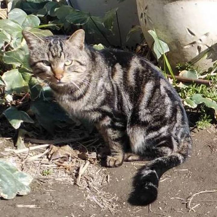 C92d818d 4a86 4d6c 9db0 238101164d80 1583199139126