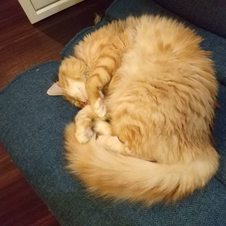 C92dc5a9 2e81 4e57 b62e 168f9c45407a 1638315101388