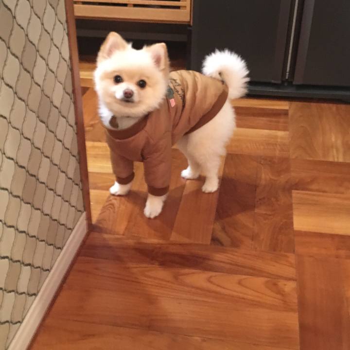 C92ddbb6 4d1e 4f5b 8368 e6bc42d257dd 1549971120626