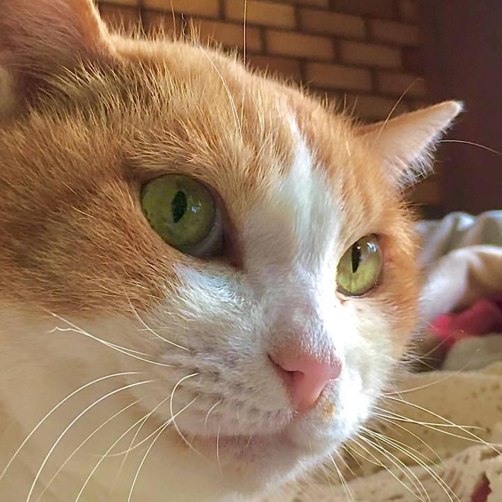 C92df62f 4234 49c9 a9c4 8491b6d6b883 1607484789567